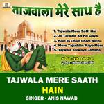 Taj Wala Mere Sath Hai - Bickram Ghosh Song Download